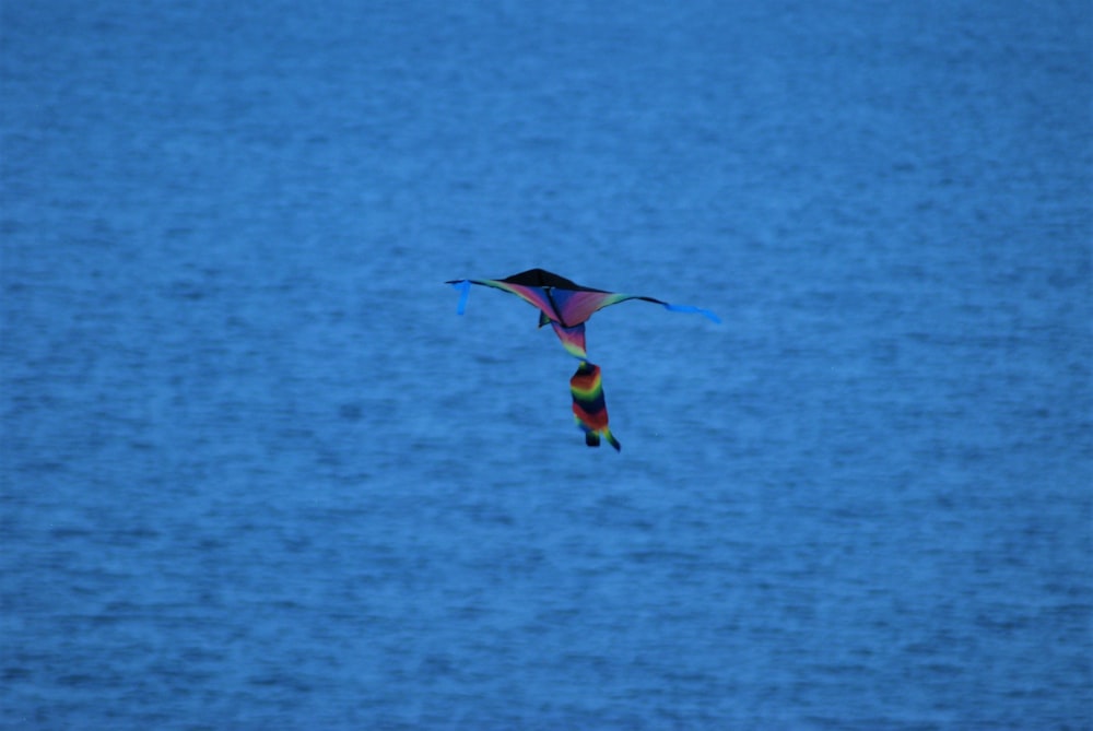 a colorful kite flying over a body of water