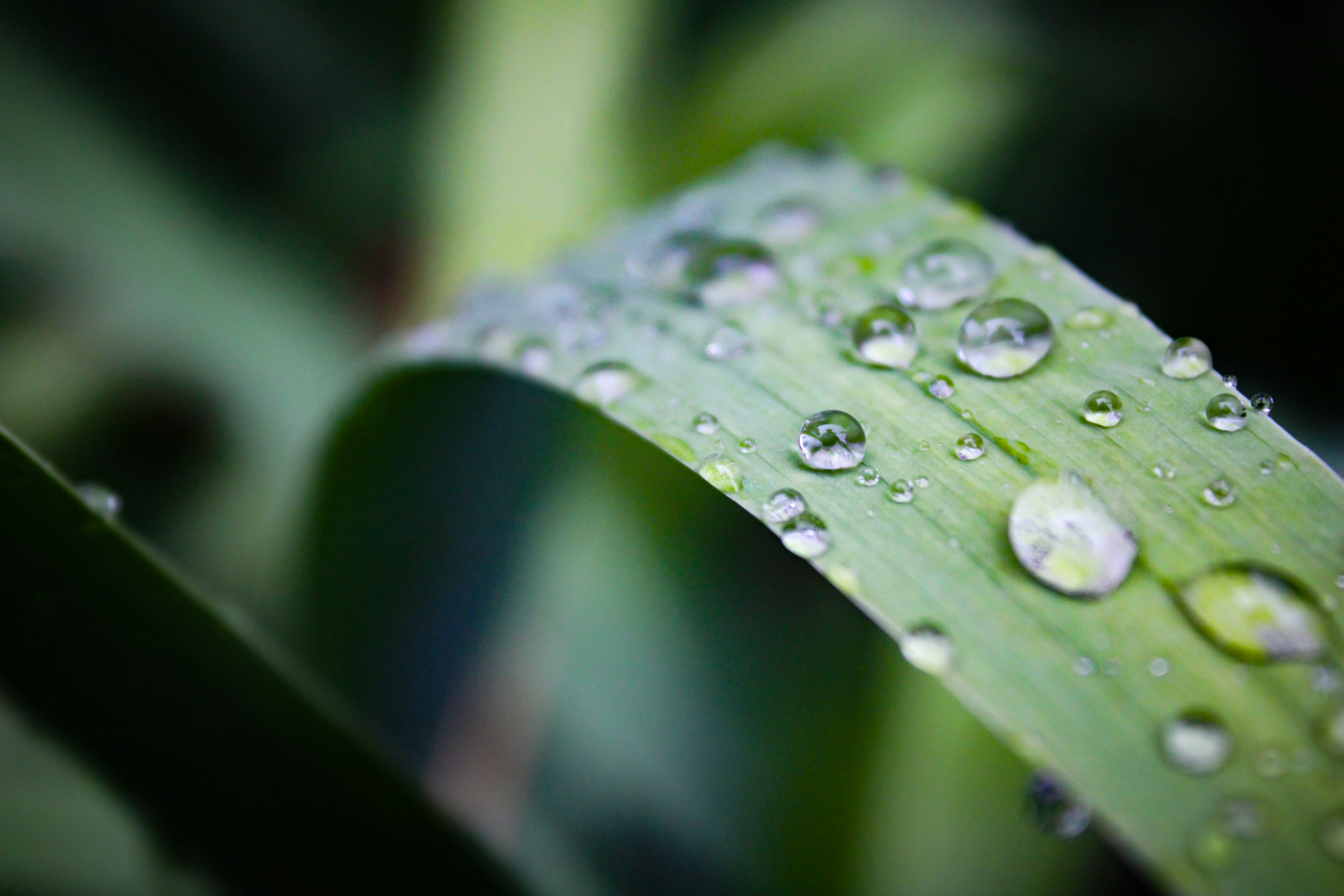 Photo by curriedflute