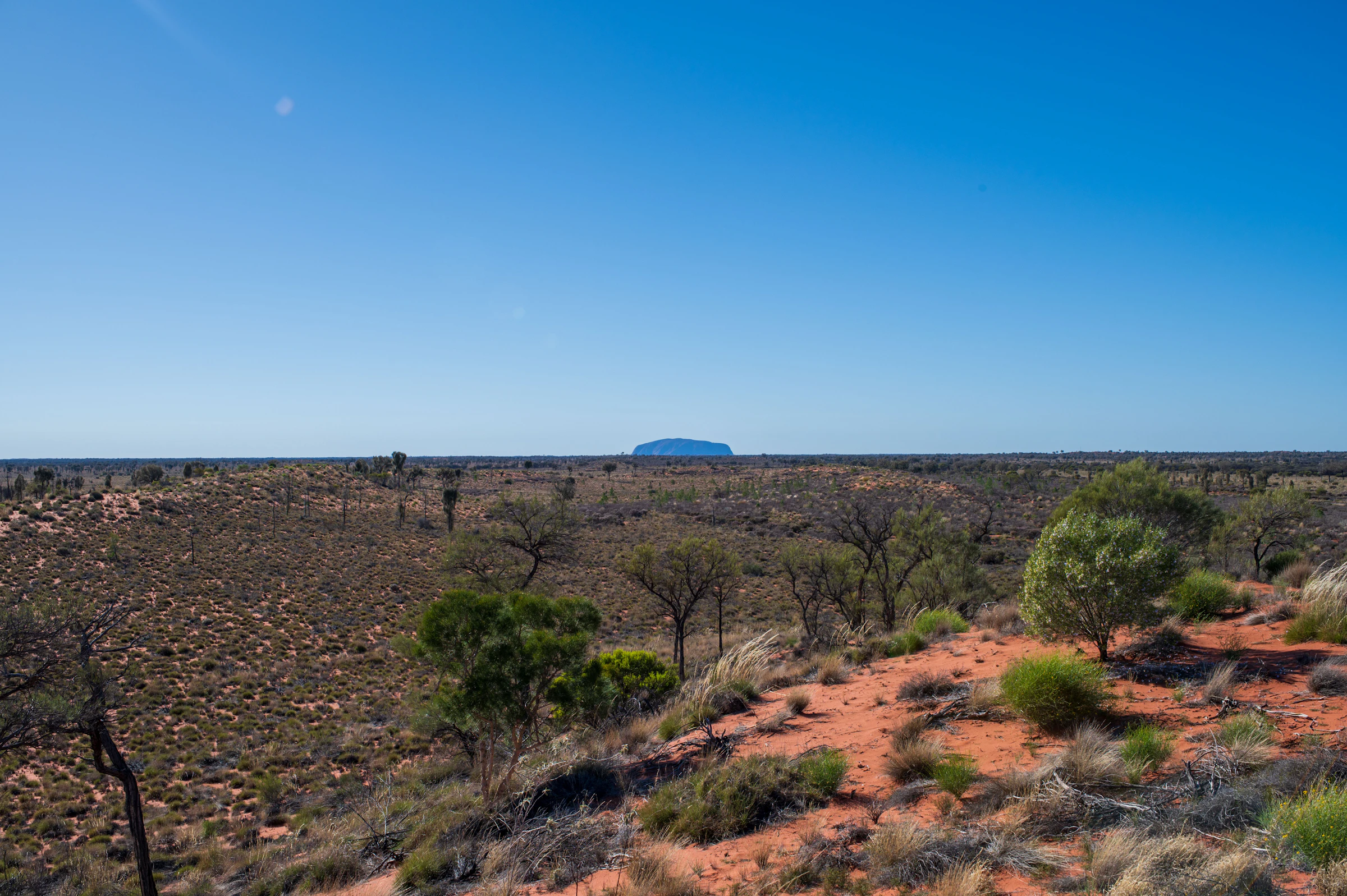 Wide arid landscape with sparse vegetation, red sand and a distant flat-topped rock formation beneath a clear blue sky.