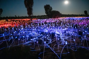 A creative art installation glowing in the evening light.