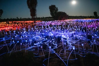 A creative art installation glowing in the evening light.