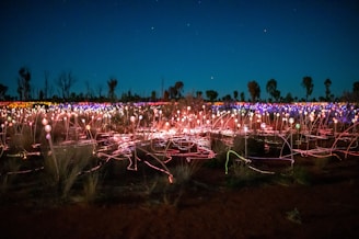 An otherworldly landscape from a fantasy film, glowing under a starry sky, captivating festival attendees.