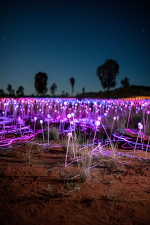 An artist setting up a colorful light installation at night under a starry sky.