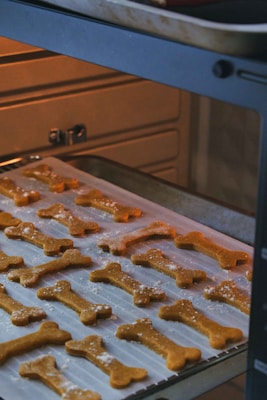 Several bone-shaped cookies are baking on a tray inside an oven. The cookies are arranged orderly on parchment paper, and some have a light dusting of flour on them. The oven racks and the interior of the oven suggest that the cookies are in the process of being baked.
