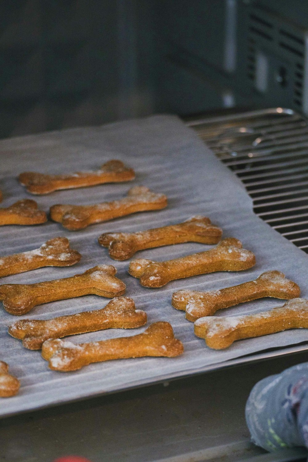 a bunch of dog bones on a grill