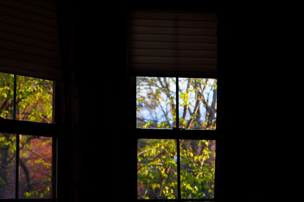 a view of trees through a window in a dark room