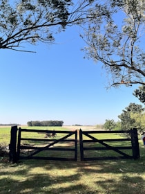 A custom wooden gate with a gate operator installed at a rural property entrance.