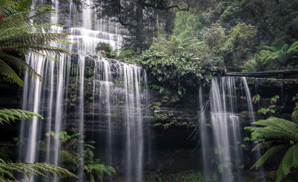 a large waterfall in the middle of a forest