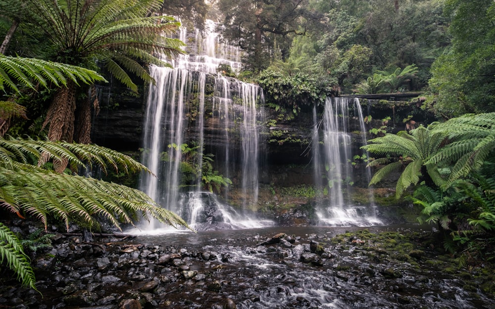 a small waterfall in the middle of a forest