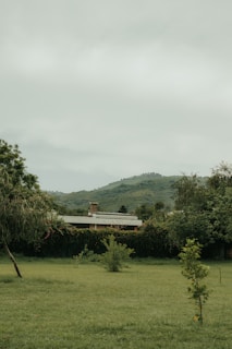 An inviting view of an open, grassy lot bordered by native trees ready for building a dream home.