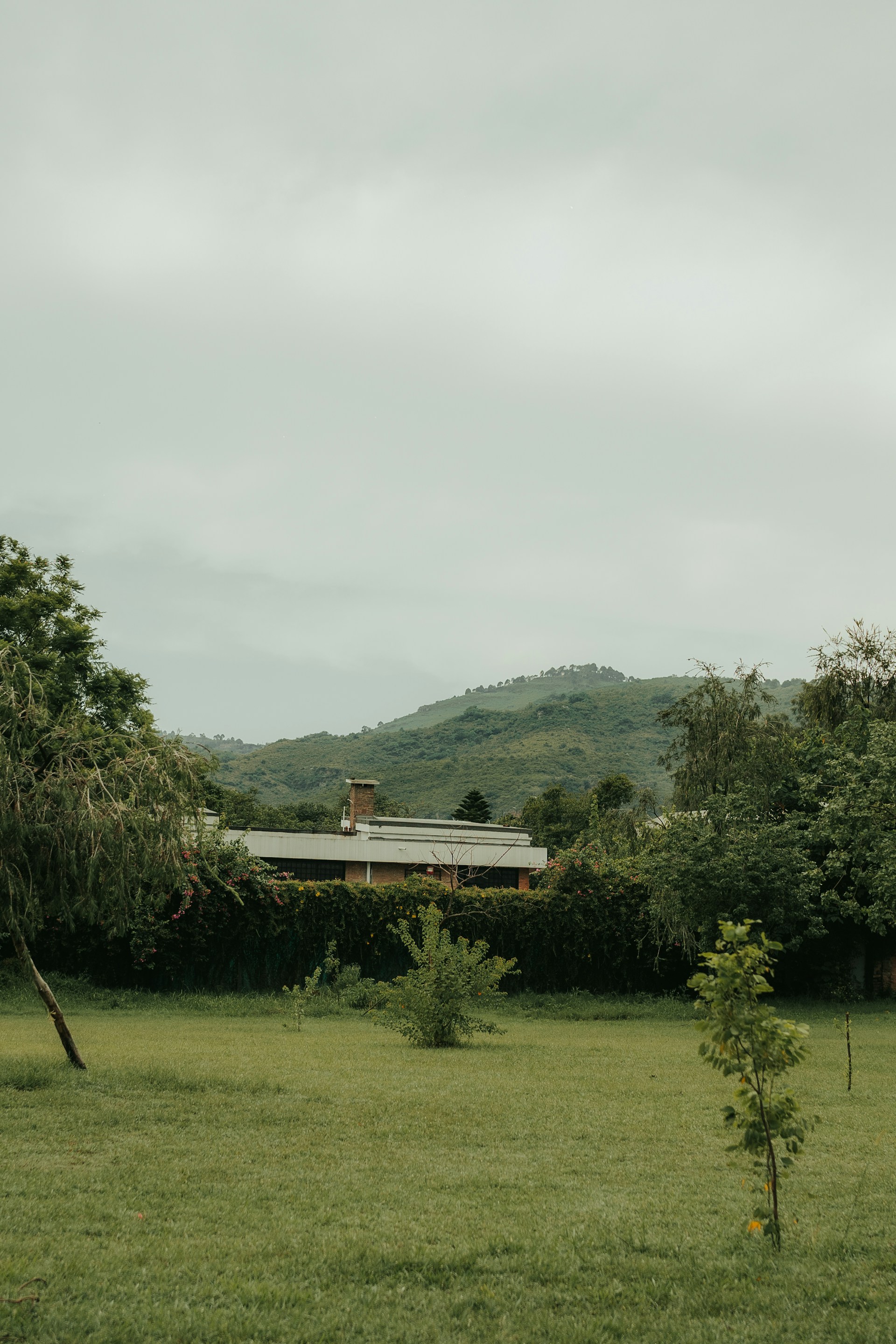 woman wearing yellow long-sleeved dress under white clouds and blue sky during daytime