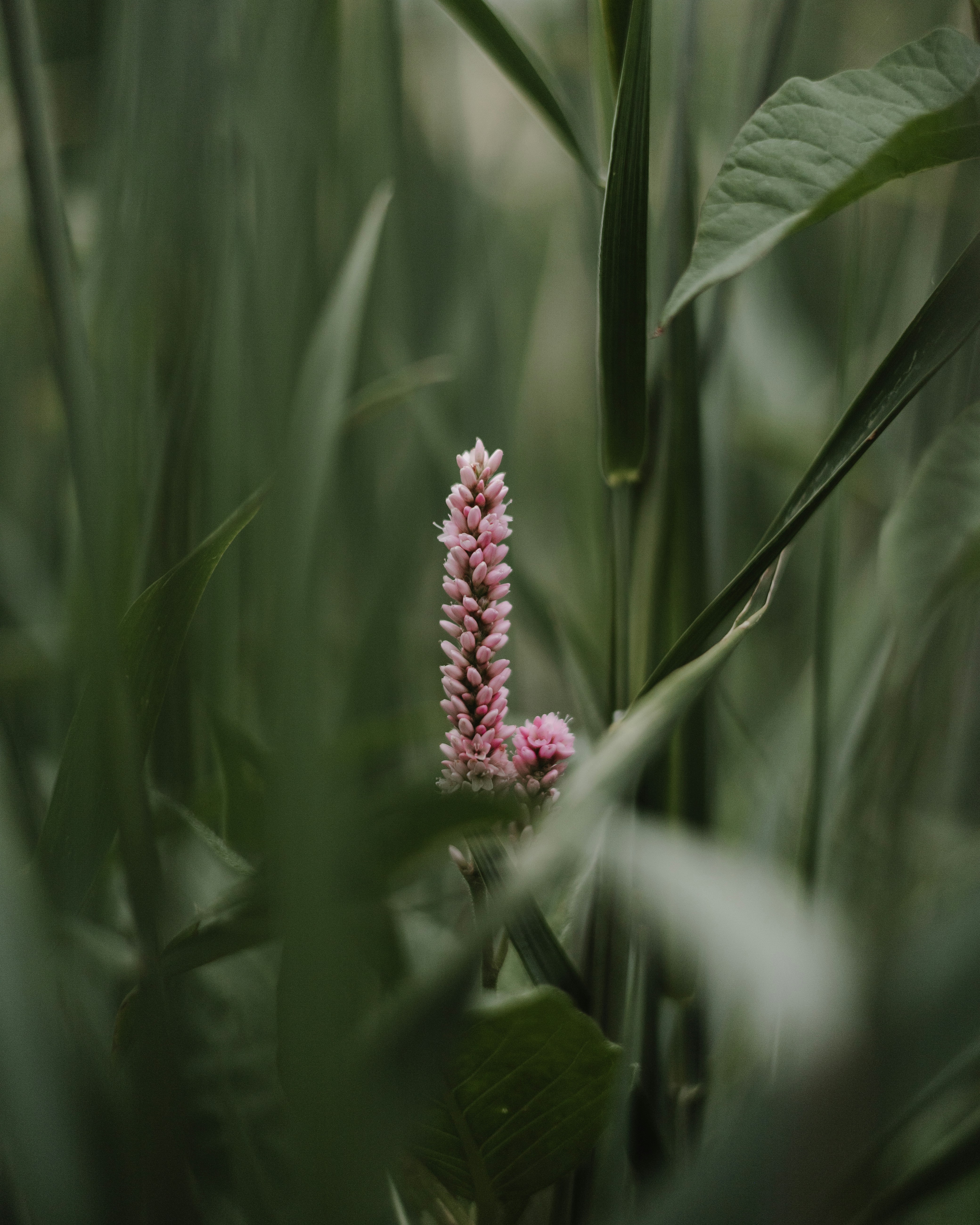 Photo by elijahp