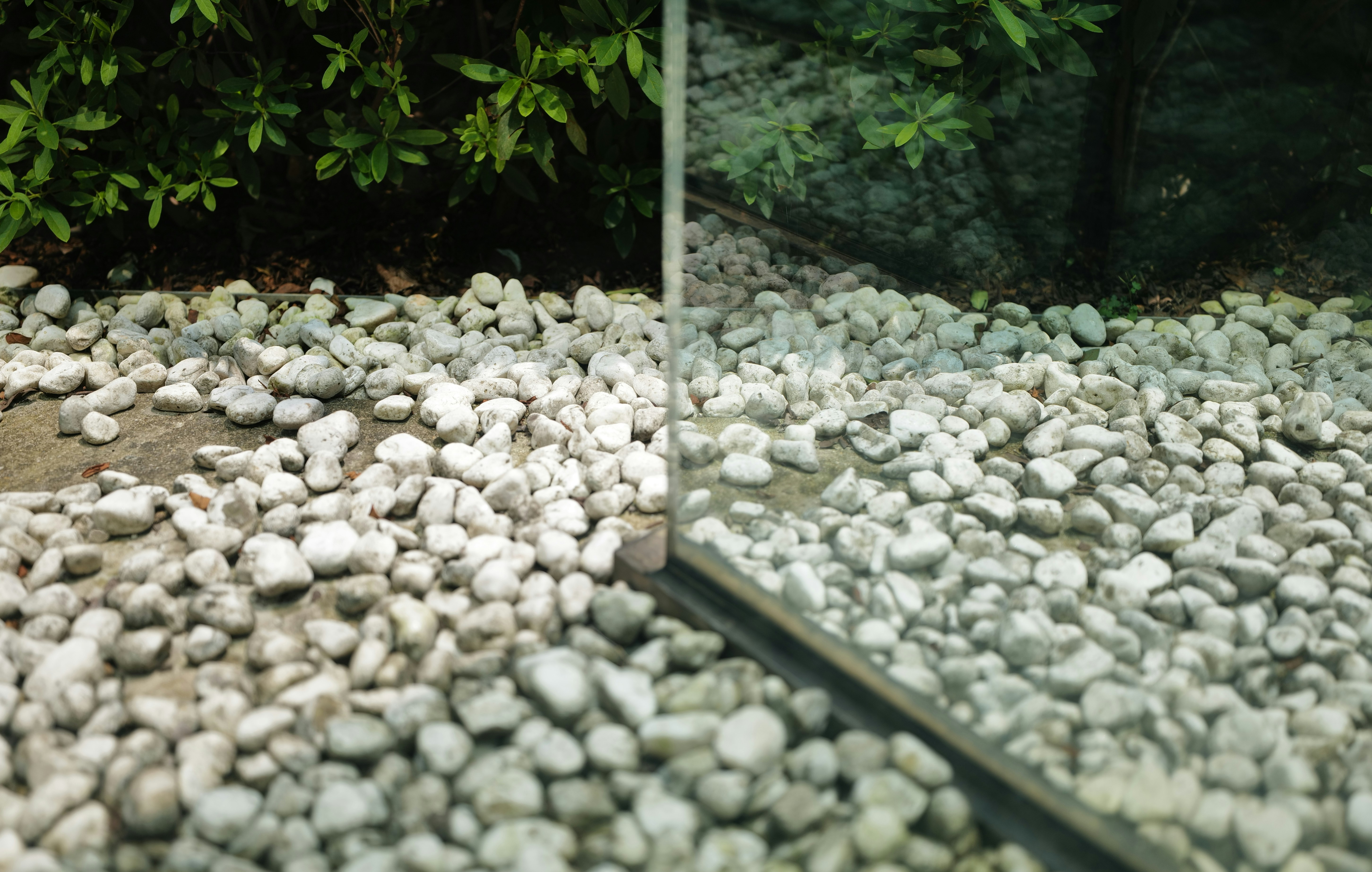How to Clean Gravel in Aquariums Complete Guide
