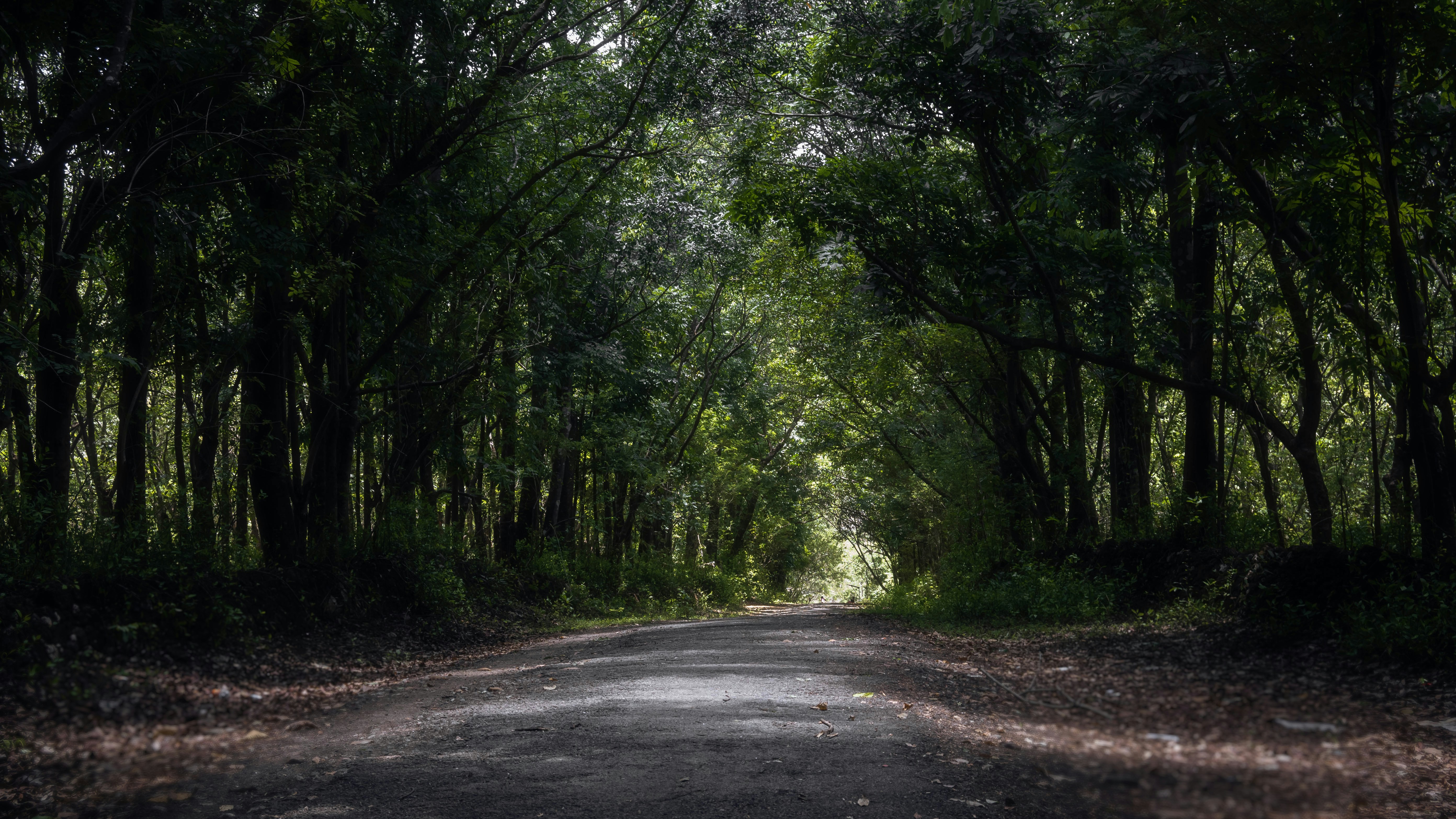 Photo by haythamkenway