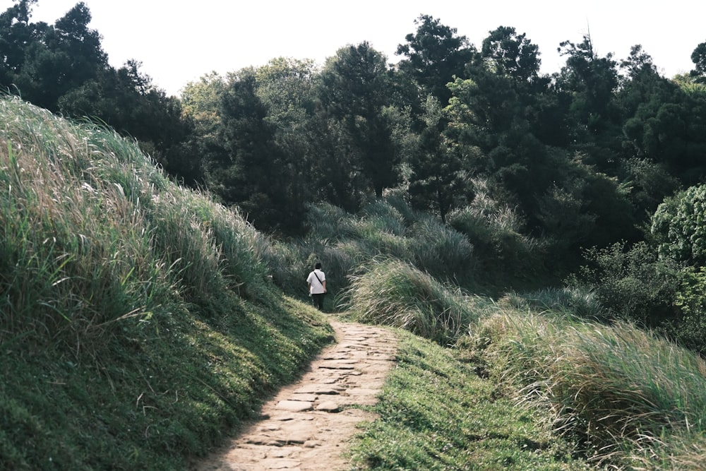 a person walking down a path in the woods