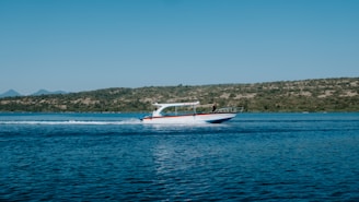 A beautiful speedboat cruising near lush green islands under a bright blue sky in Camamu Bay.