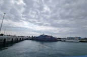 A ship with the text 'TOP TOURS' is docked at a pier alongside another smaller vessel. The scene is set under a cloudy sky with some sunlight filtering through, and a few birds can be seen flying above. The water in the foreground is calm, reflecting the blue and gray tones of the sky.