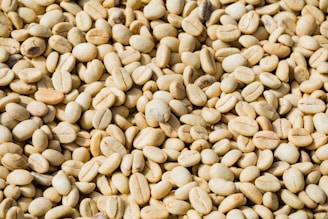 Close-up of fresh green coffee beans spread out on a wooden surface.