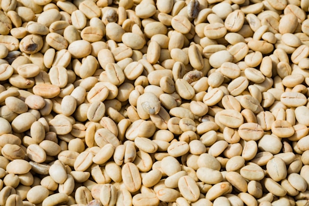 A close-up view of a large quantity of unroasted coffee beans, displaying a light greenish color with smooth surfaces lying scattered.