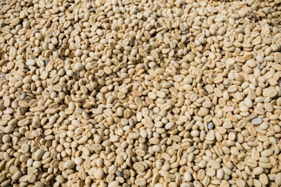 A large quantity of unroasted coffee beans is spread out, showing variations in size and shape. The beans have a pale yellowish color characteristic of their raw form.