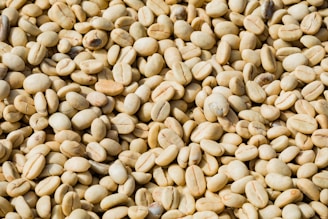 A close-up of raw coffee beans spread out on a burlap sack.