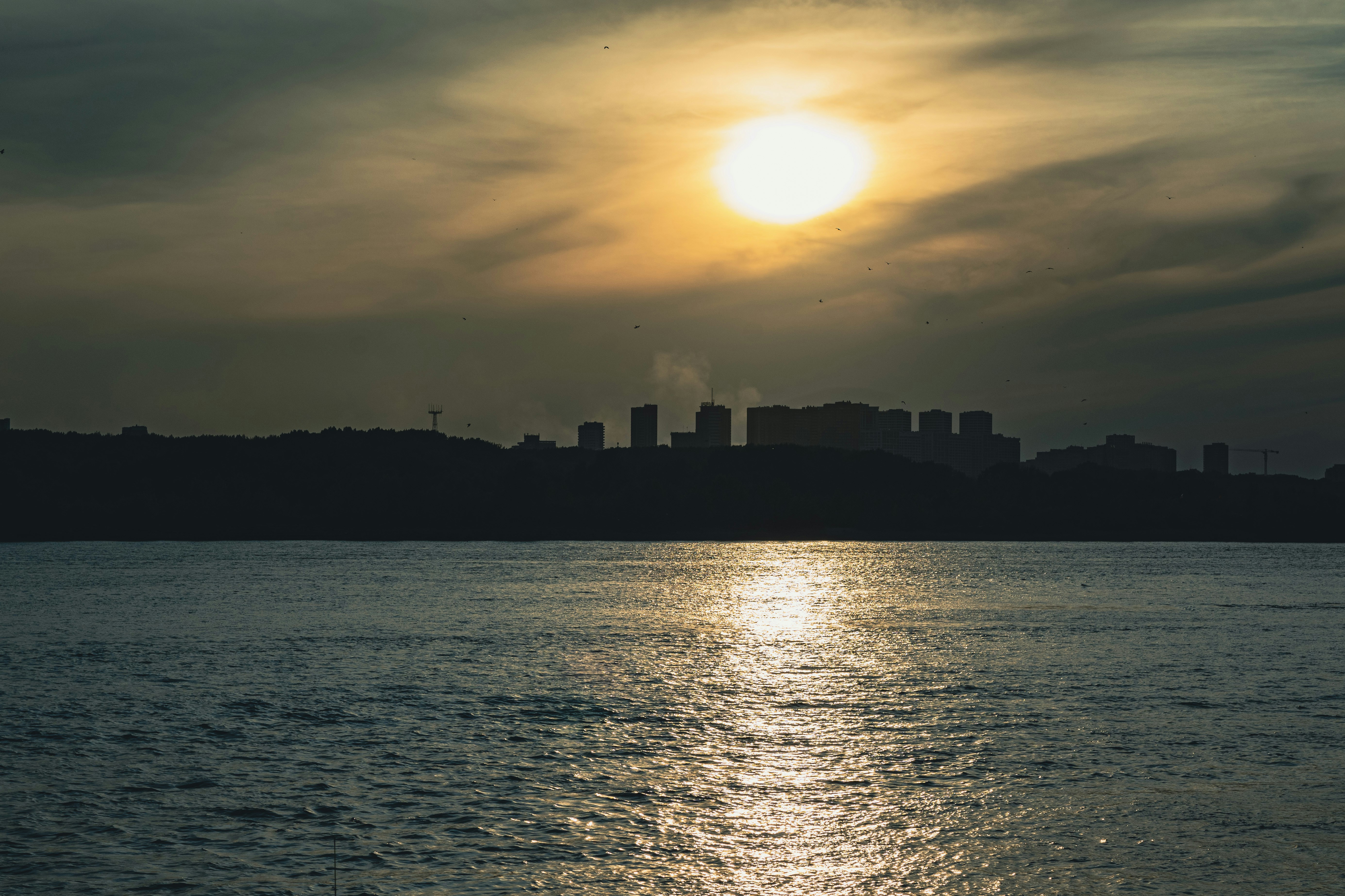 Photo by romanilyuhin