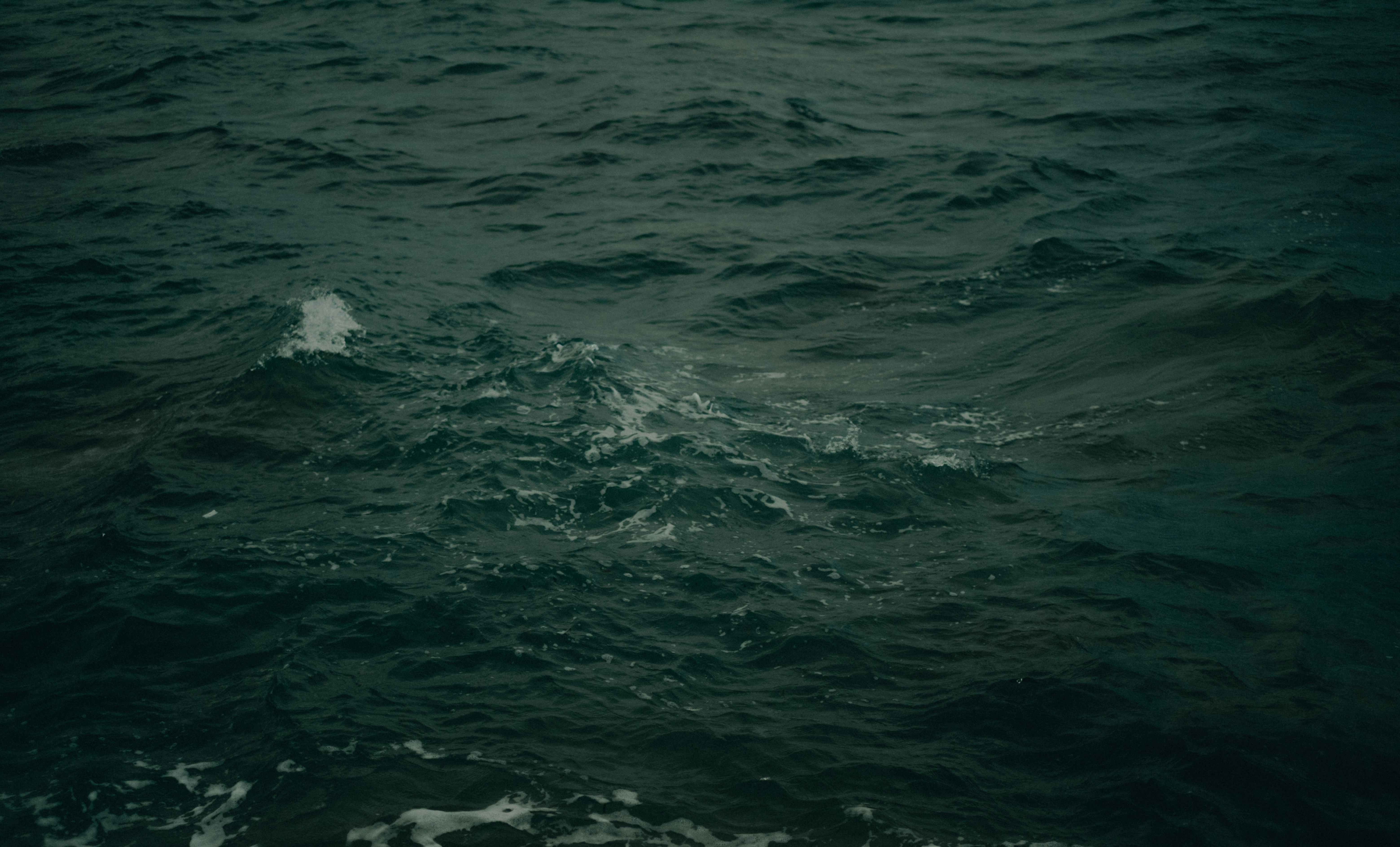 Photo by bacherfelix