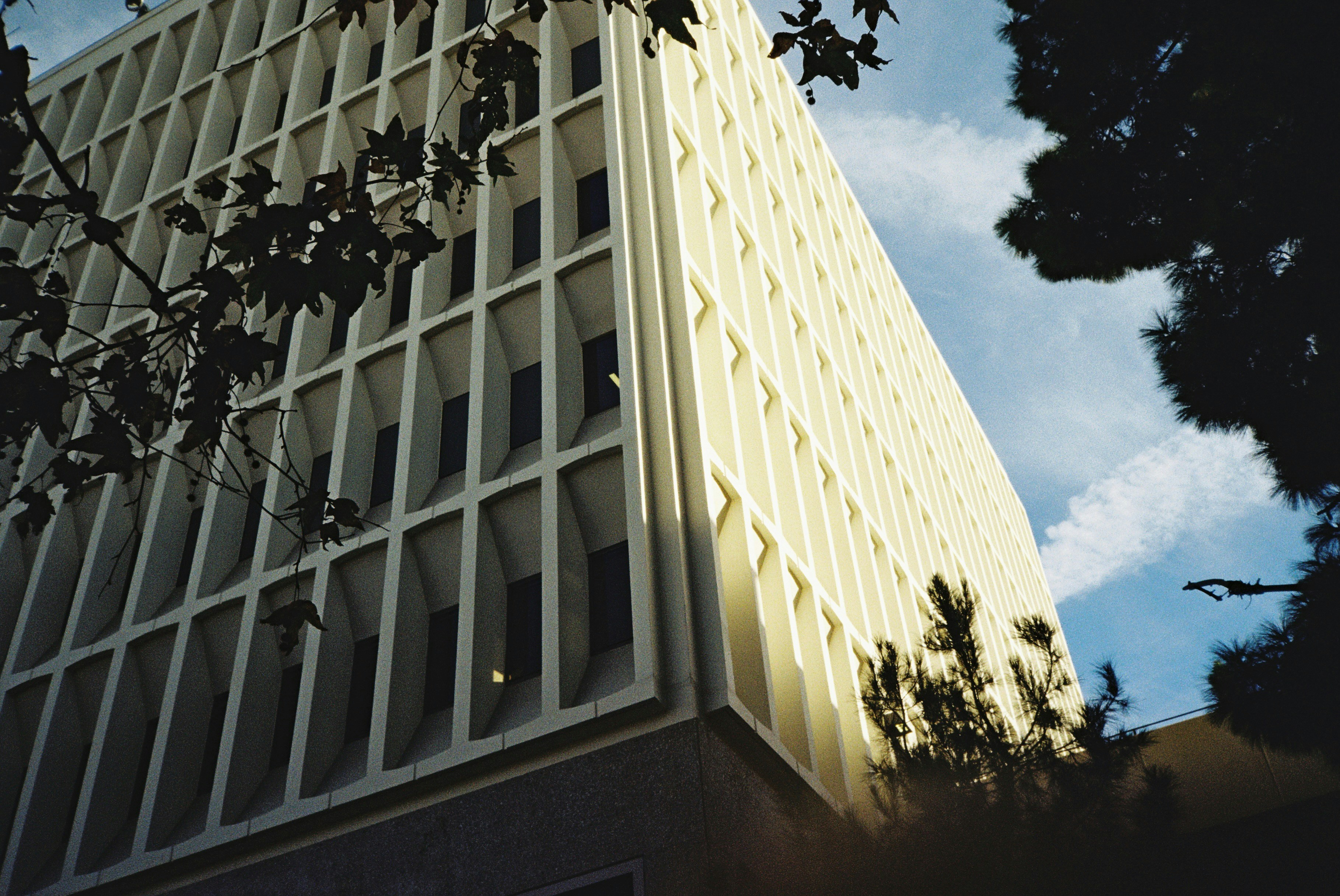 Photo by josephhsing