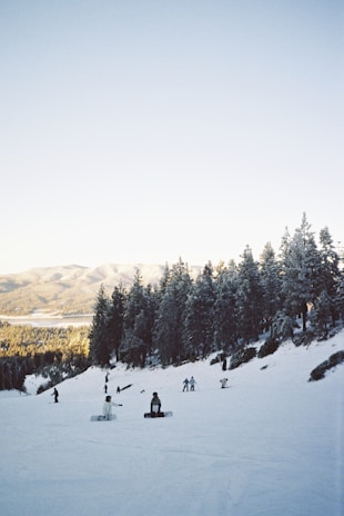 Snowboarders and skiers glide down a snowy mountain slope surrounded by tall pine trees covered in snow. In the background, distant mountains are visible under a clear sky, with hints of sunlight casting a soft glow.