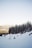 Snowboarders and skiers glide down a snowy mountain slope surrounded by tall pine trees covered in snow. In the background, distant mountains are visible under a clear sky, with hints of sunlight casting a soft glow.