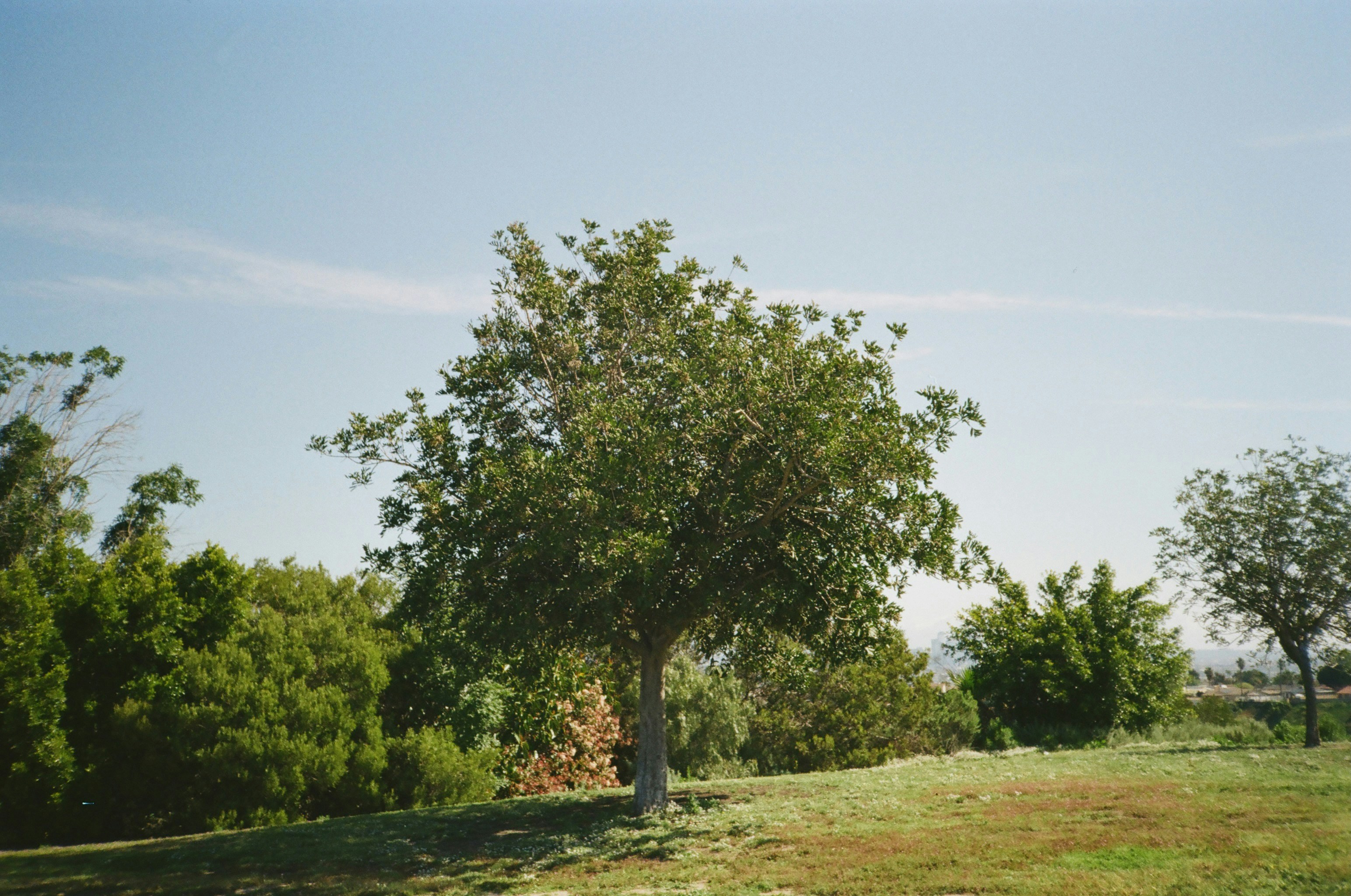 Photo by josephhsing