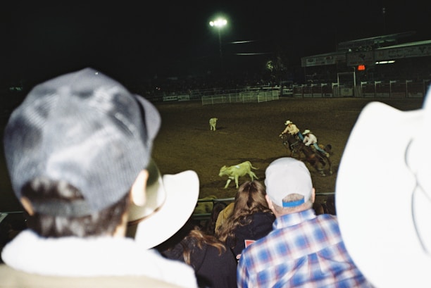 A nighttime rodeo event with several cowboys on horseback chasing a calf. The audience watches from the stands, with people wearing hats and casual clothing. The arena is dimly lit with bright overhead lights illuminating the action. The scene is dynamic and captures the movement and excitement of the rodeo.
