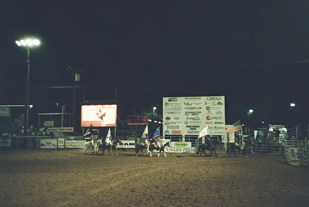 A panoramic shot of a summer rodeo event with flags waving and the crowd immersed in the action.