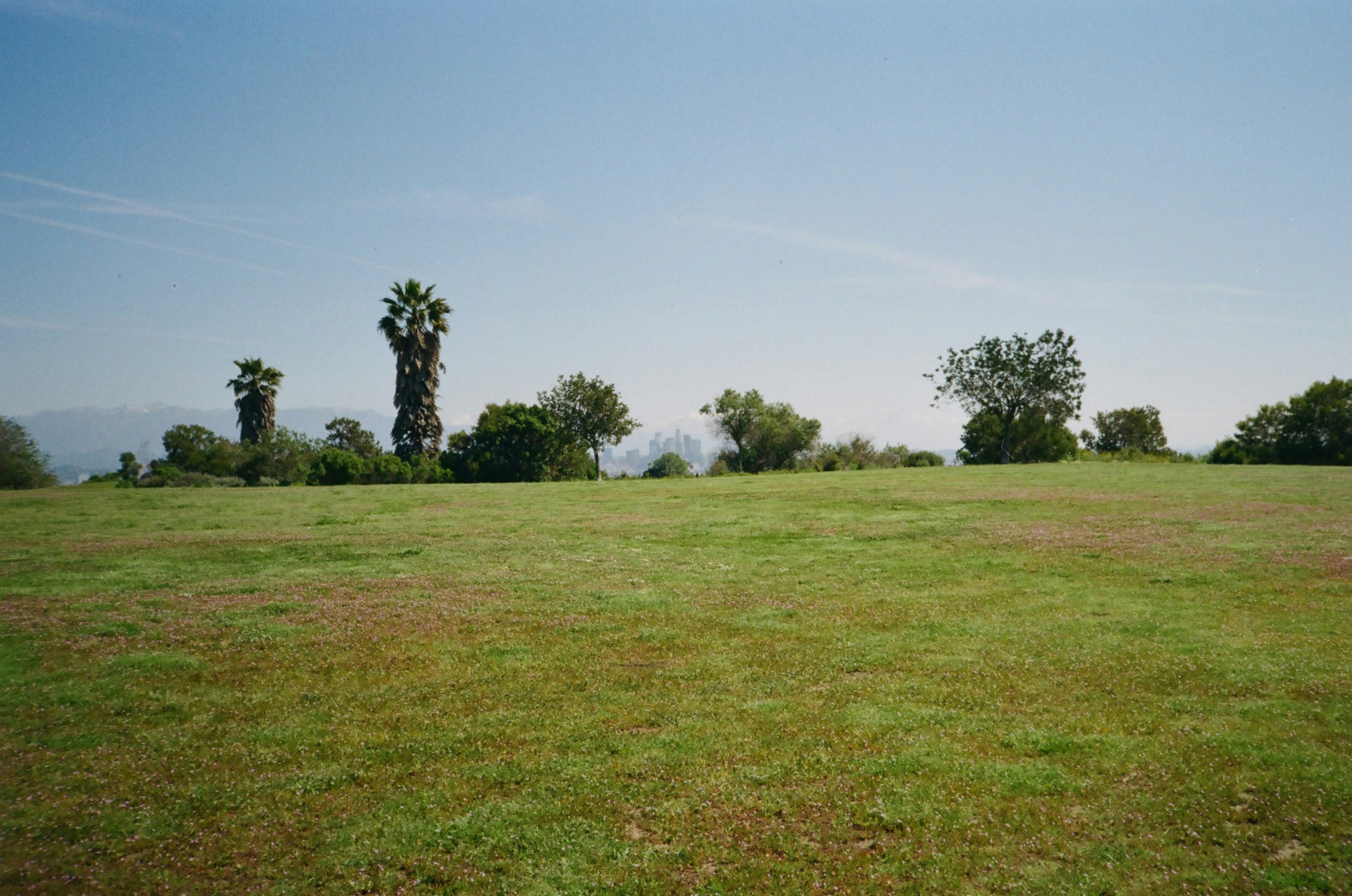 Photo by josephhsing