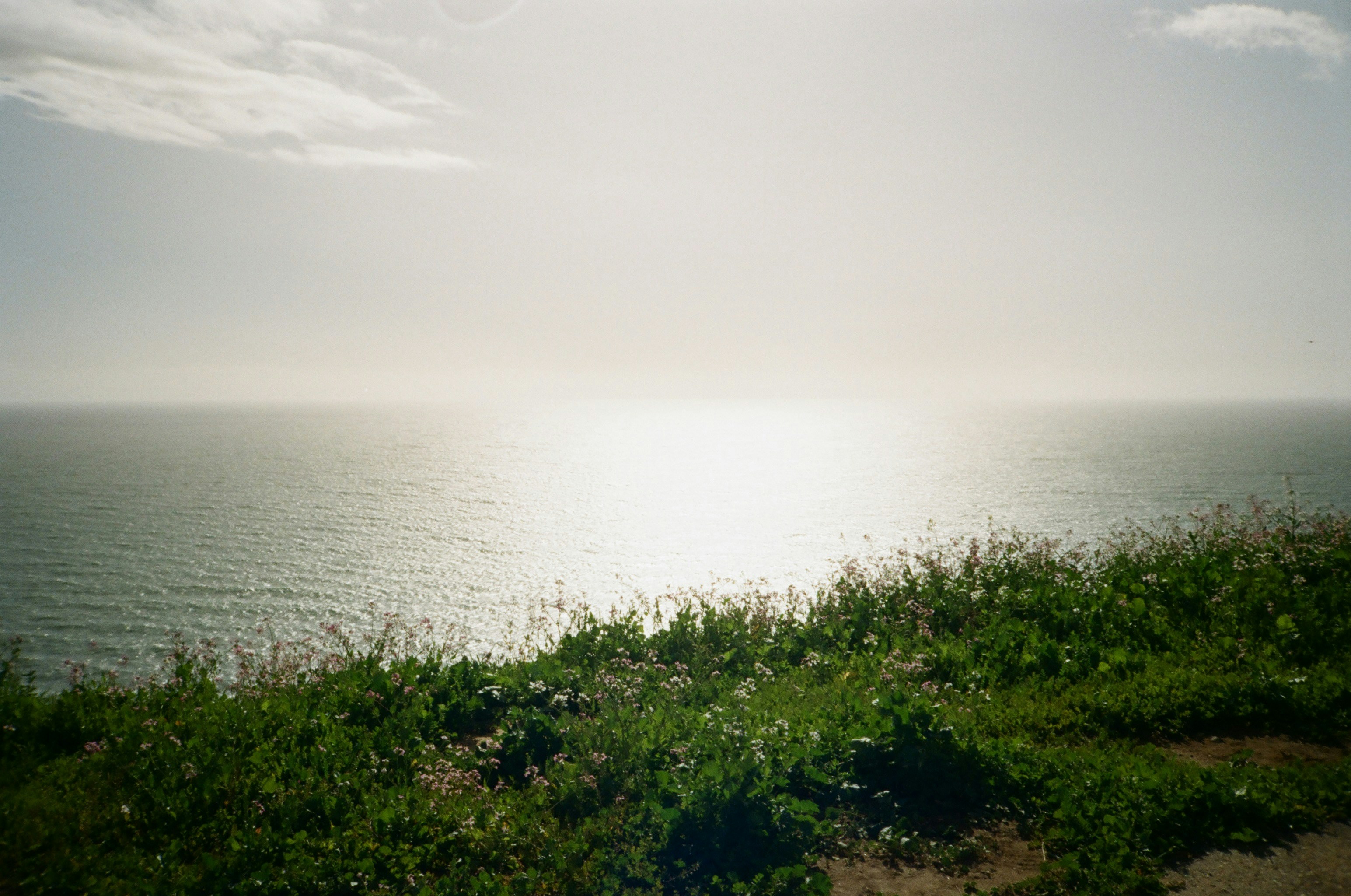 Photo by josephhsing