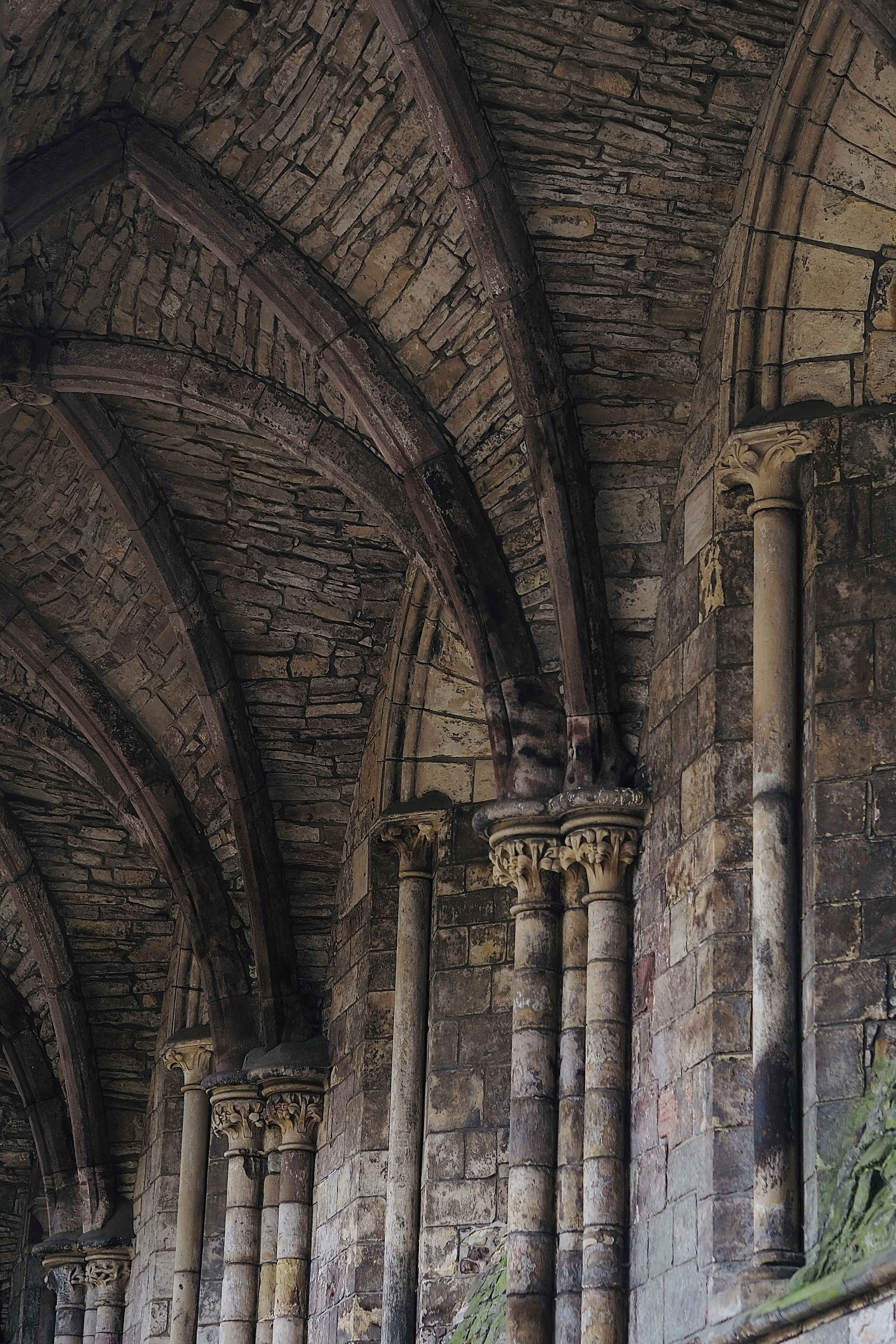 Photo by laurachouette