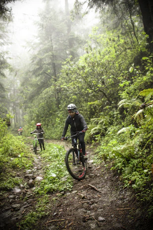 Cyclists riding mountain bikes through a lush forest trail in Minas Gerais.
