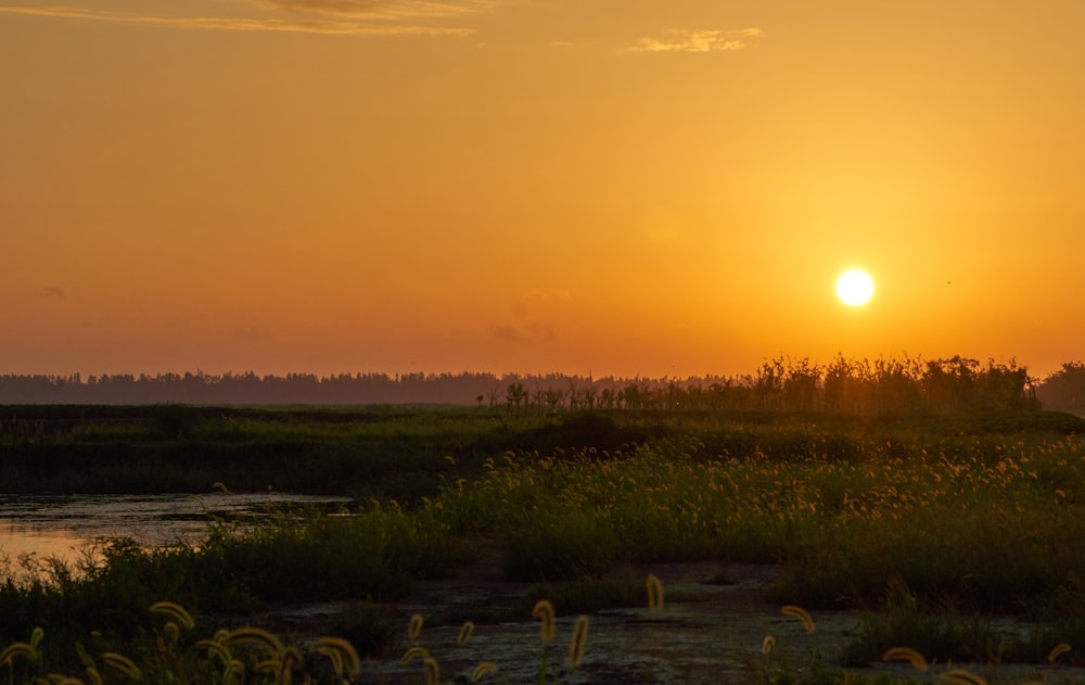 the sun is setting over a marshy area