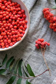 Hand-thrown stoneware bowls in warm earth tones arranged with seasonal fruits.