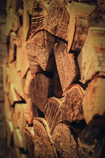 Close-up of split birch firewood with bright white bark and warm wood tones.