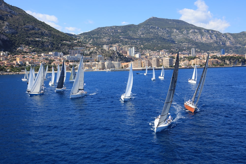 a group of sailboats sailing on a body of water