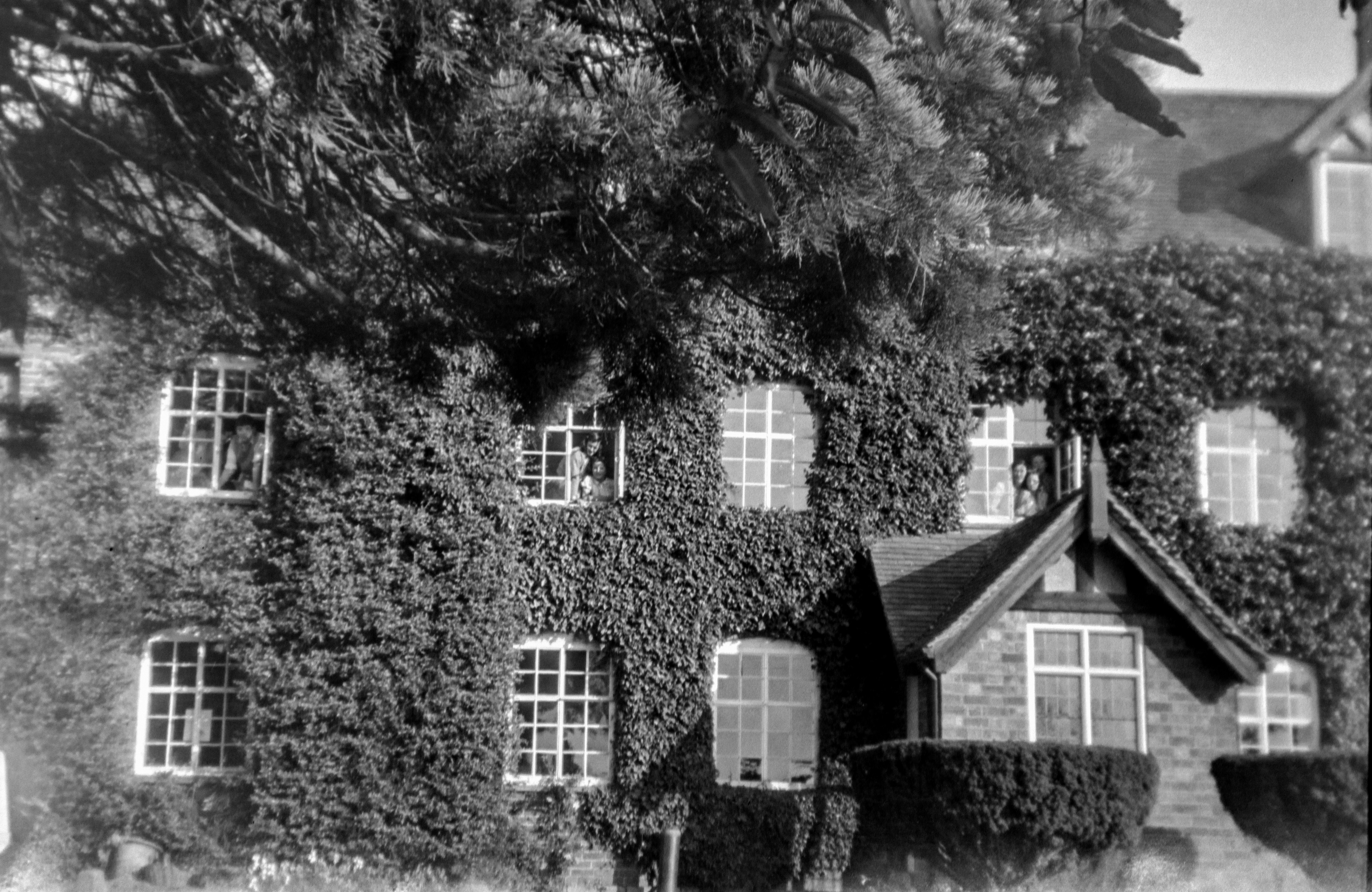 Photo by anniespratt