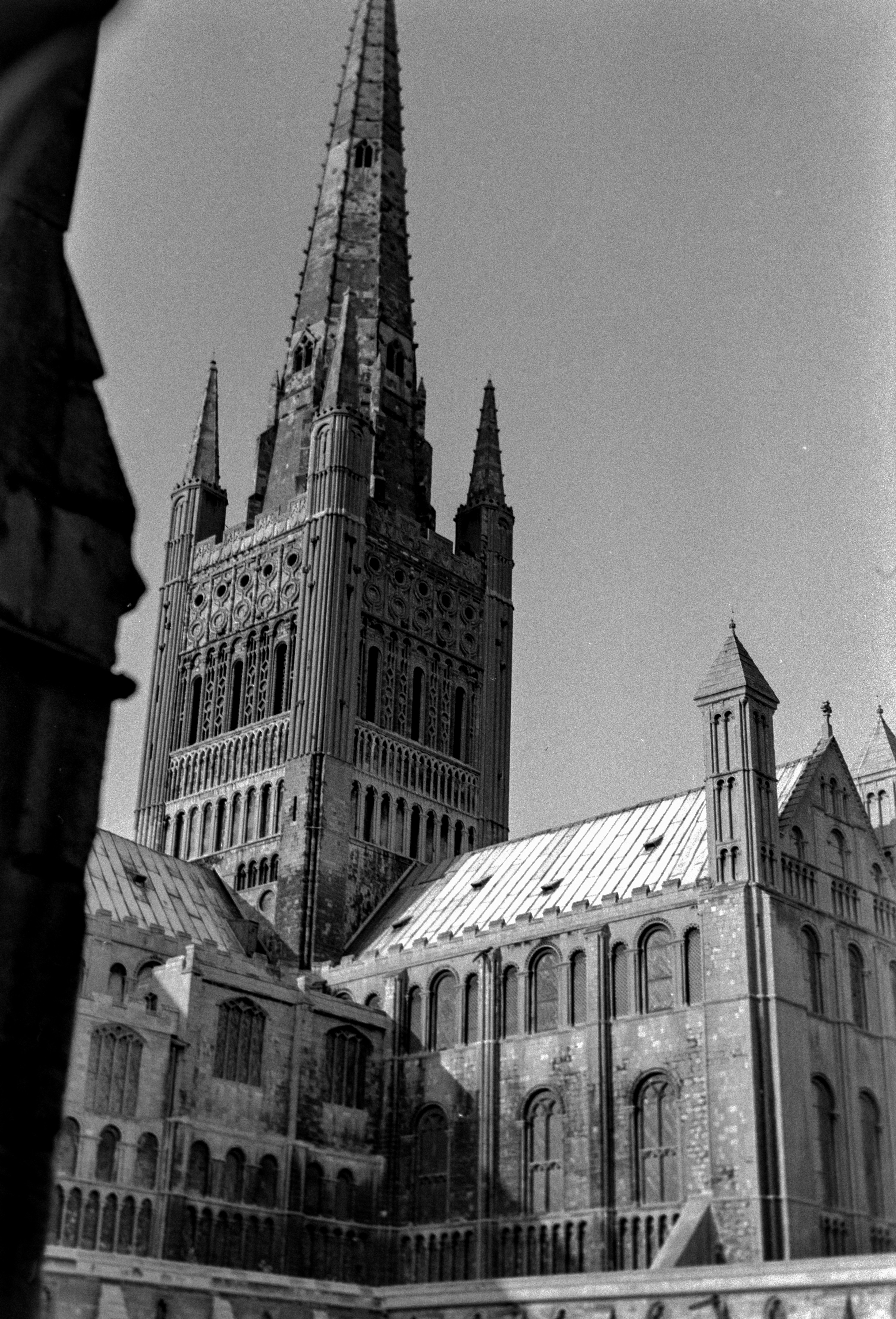 Photo by anniespratt