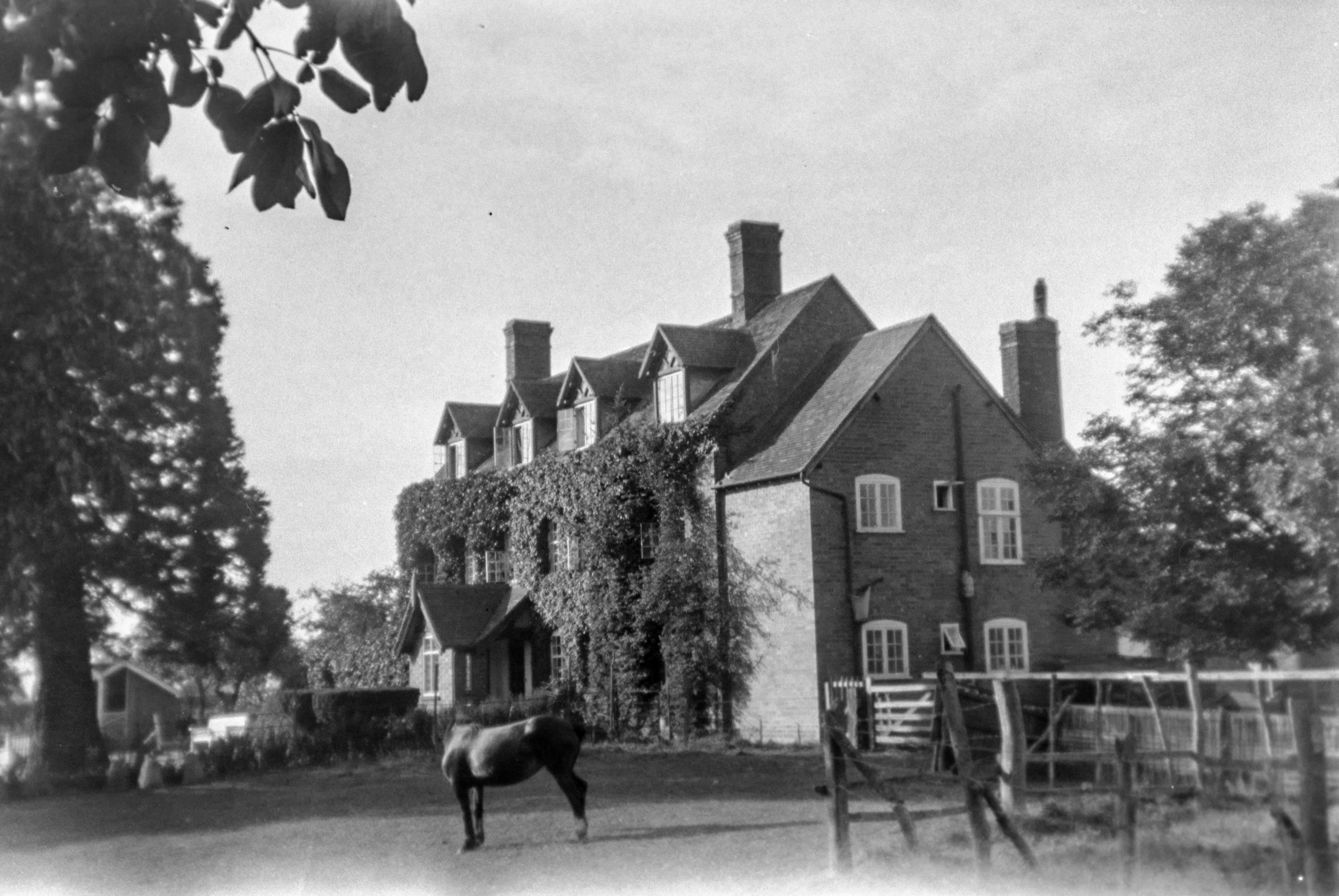 Photo by anniespratt