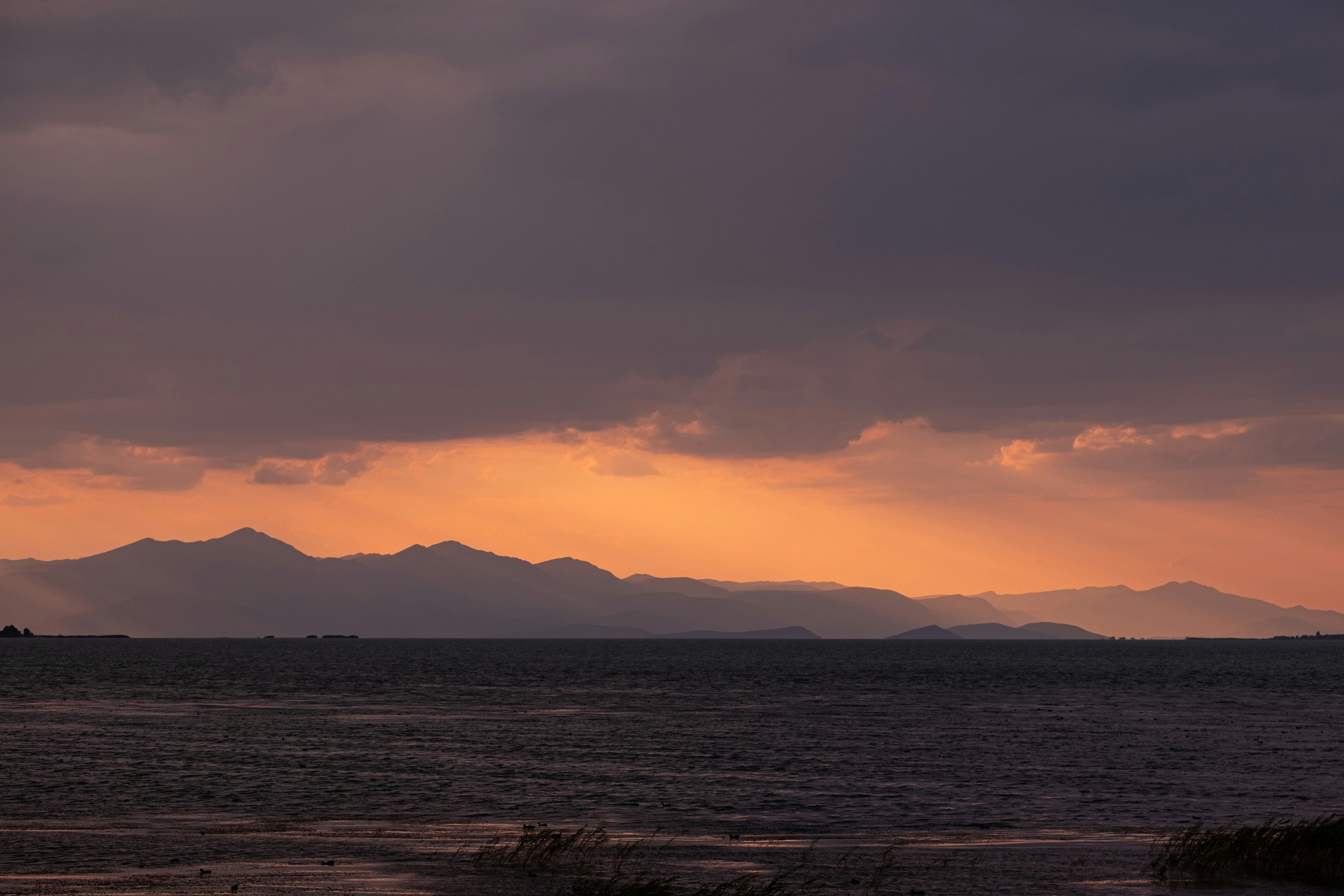 Photo by mo_design_3d