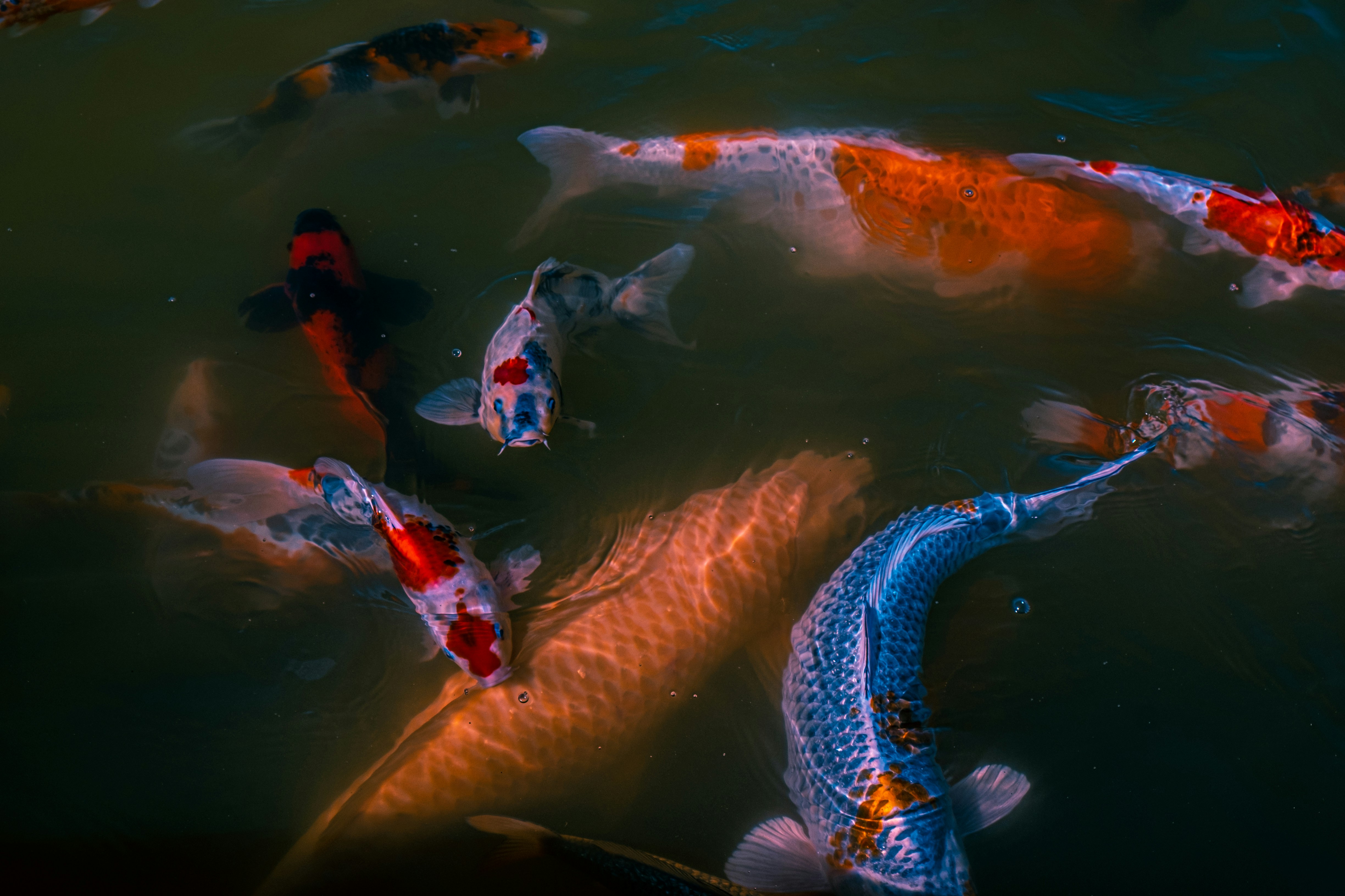Photo by mo_design_3d