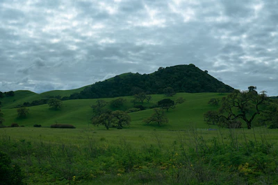 A serene landscape featuring rolling hills under a cloudy sky.