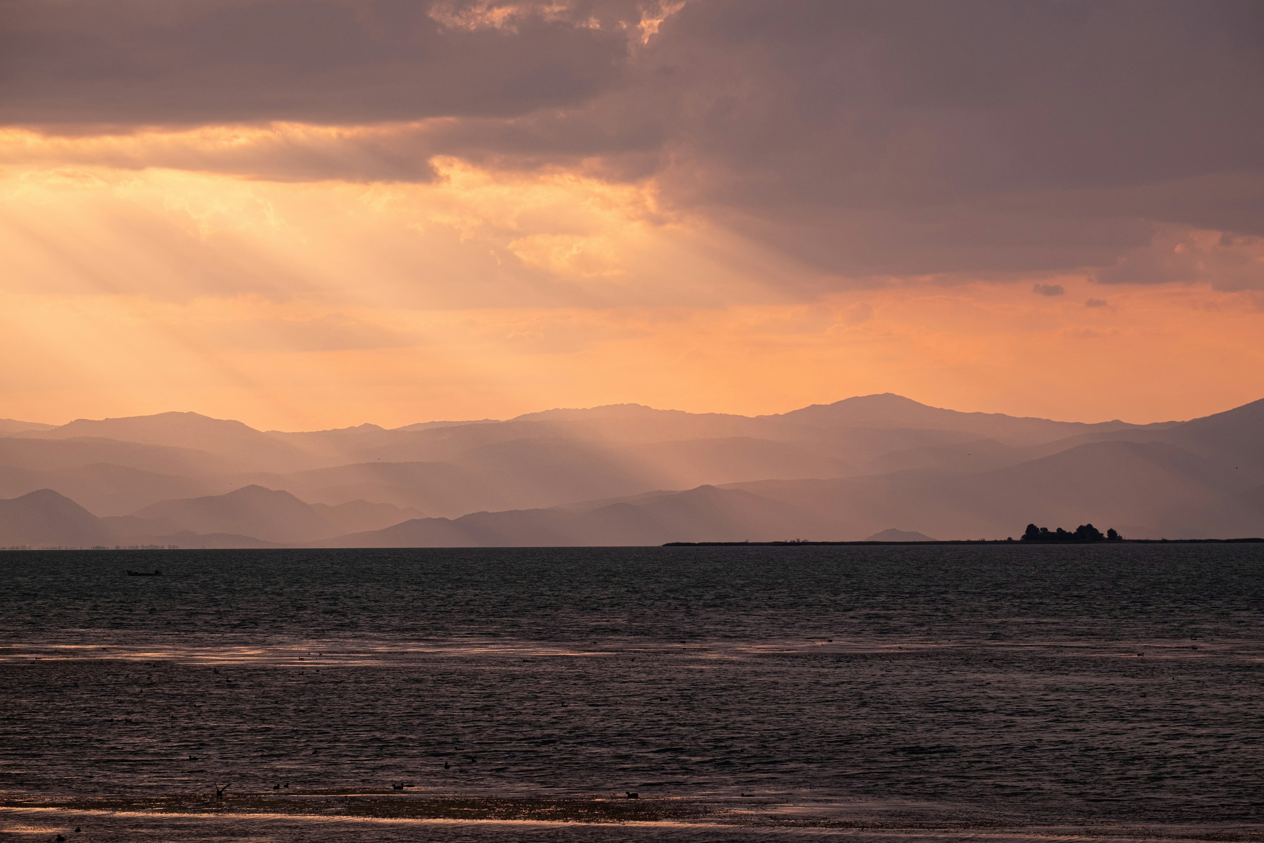 Photo by mo_design_3d