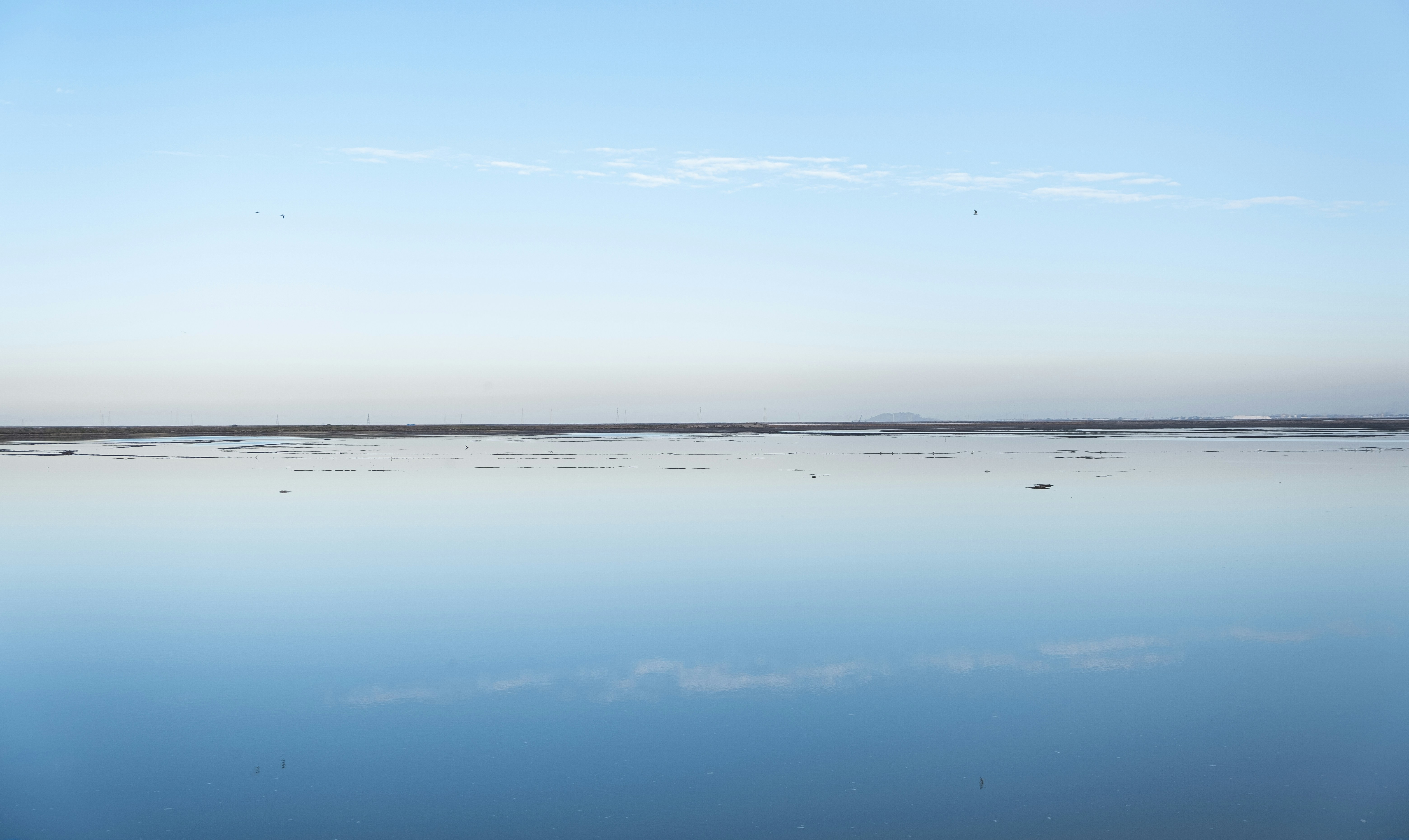 Photo by mo_design_3d