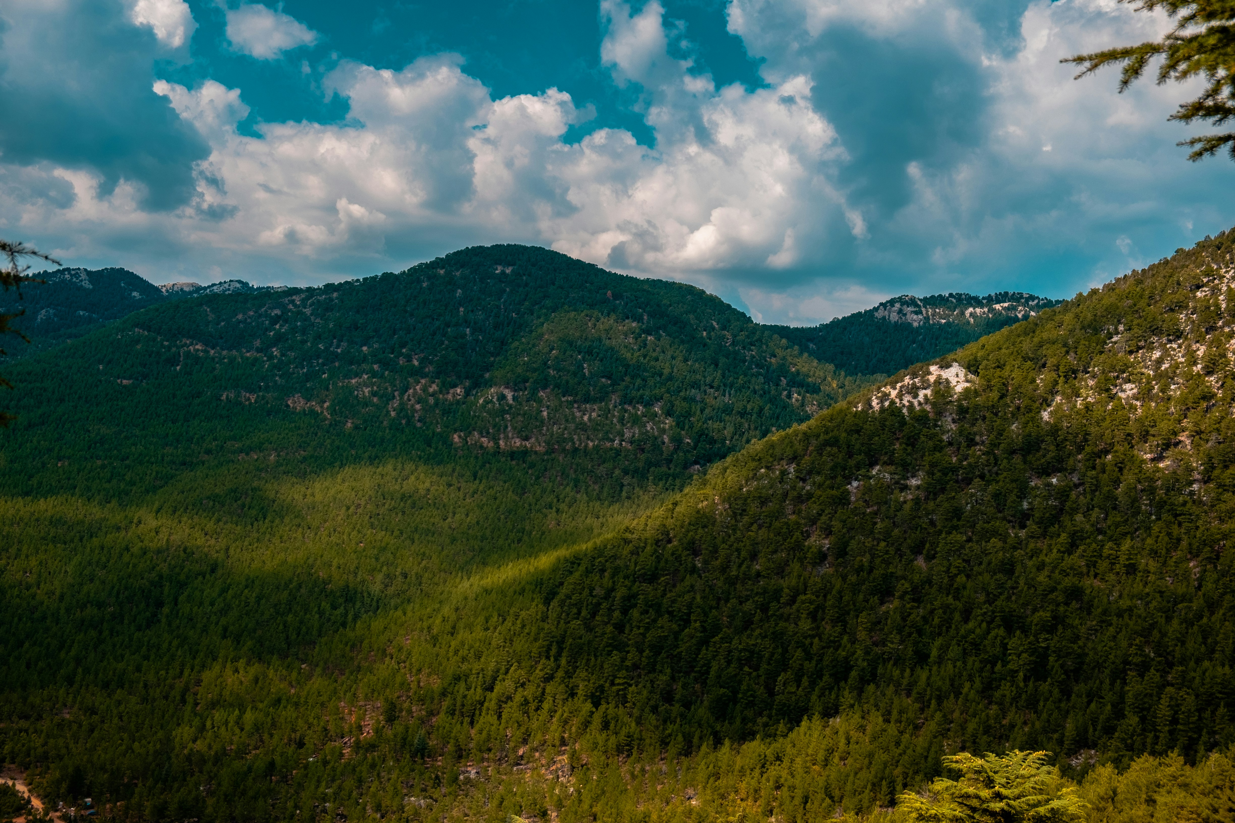 Photo by mo_design_3d